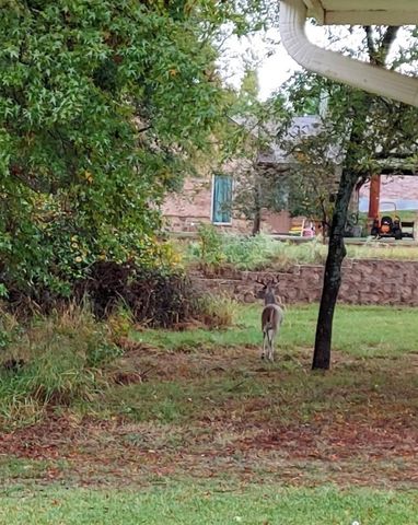 TBD CR 1503, Alba, TX 75410