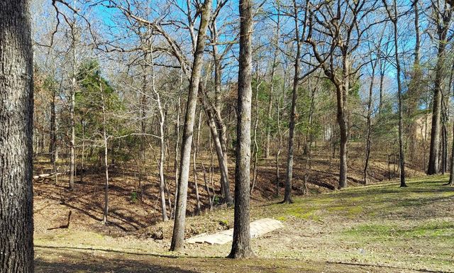 TBD CR 1503, Alba, TX 75410