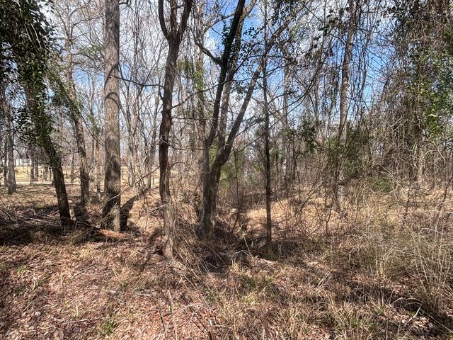 TBD CR 1503, Alba, TX 75410