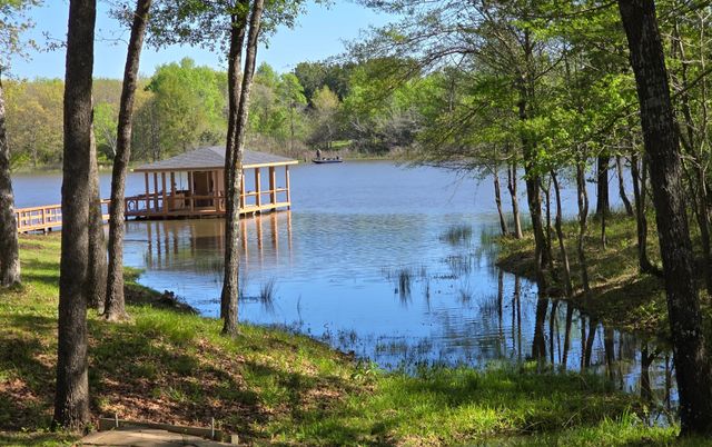 TBD CR 1503, Alba, TX 75410