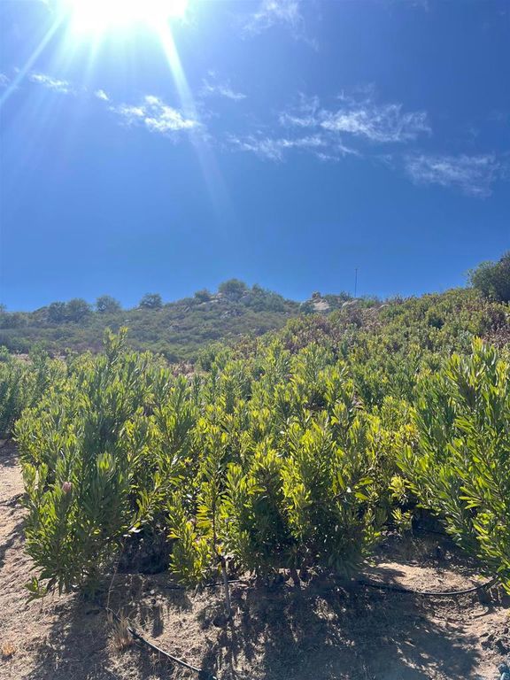 26336 N Lake Wohlford Road, Valley Center, CA 92082 — exterior