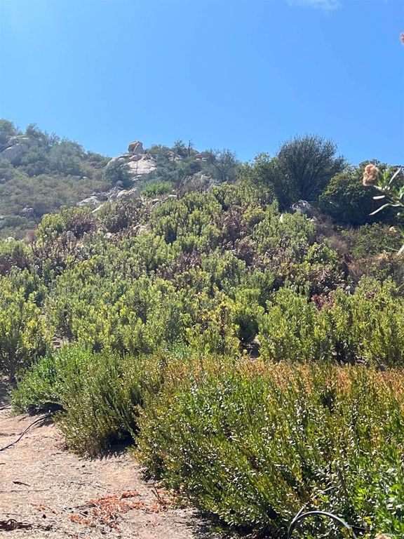 26336 N Lake Wohlford Road, Valley Center, CA 92082 — photo 3