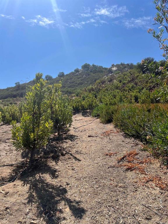 26336 N Lake Wohlford Road, Valley Center, CA 92082 — photo 4