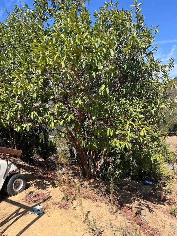 26336 N Lake Wohlford Road, Valley Center, CA 92082 — photo 5