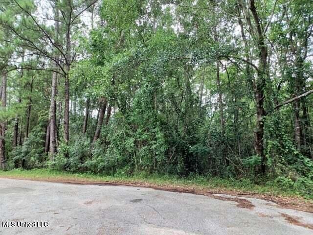 Lot 18 Honduras Drive, Gautier, MS 39553