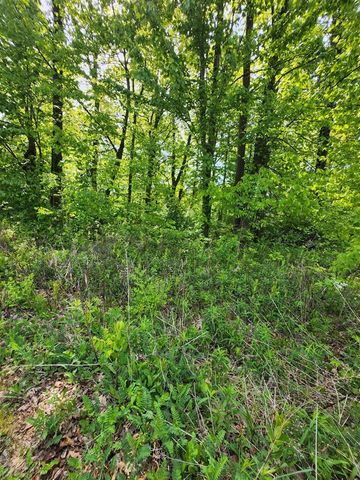 17651 Penny Lane, New Buffalo, MI 49117
