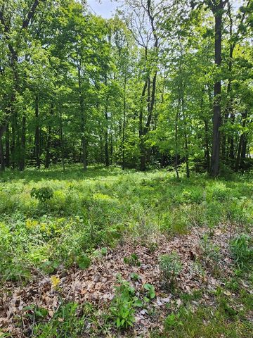 17651 Penny Lane, New Buffalo, MI 49117