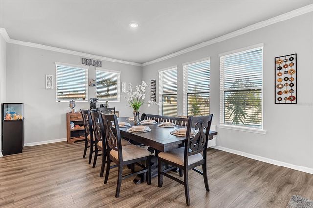 17140 CERCIS LOOP, Clermont, FL 34711