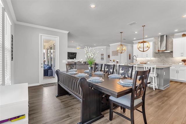 17140 CERCIS LOOP, Clermont, FL 34711