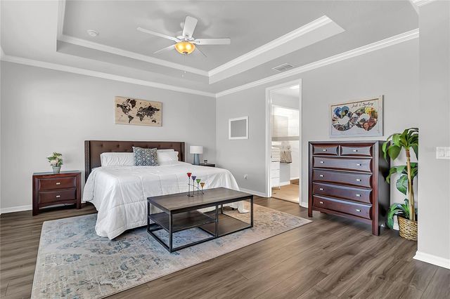 17140 CERCIS LOOP, Clermont, FL 34711