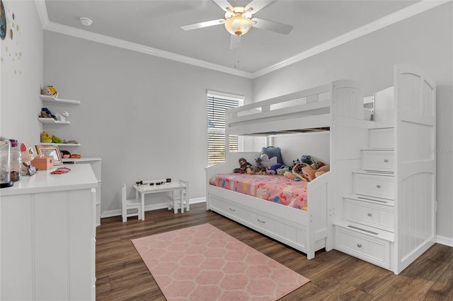 17140 CERCIS LOOP, Clermont, FL 34711