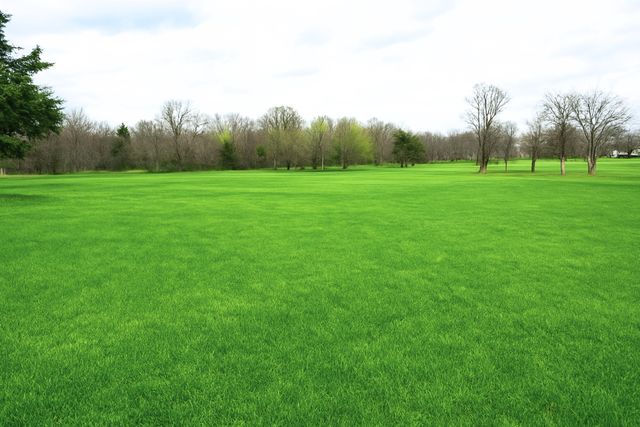 1401 Hunt Road, Gunter, TX 75058