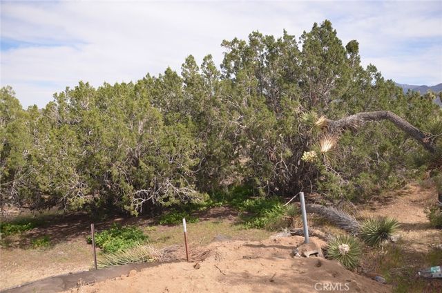 0 Longview x Old Homestead, Juniper Hills, CA 93553
