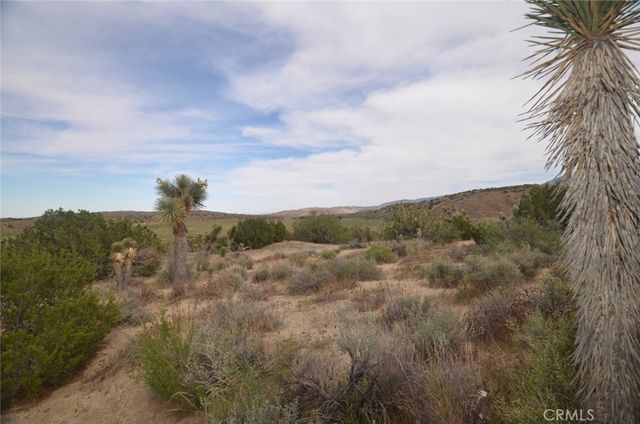 0 Longview x Old Homestead, Juniper Hills, CA 93553