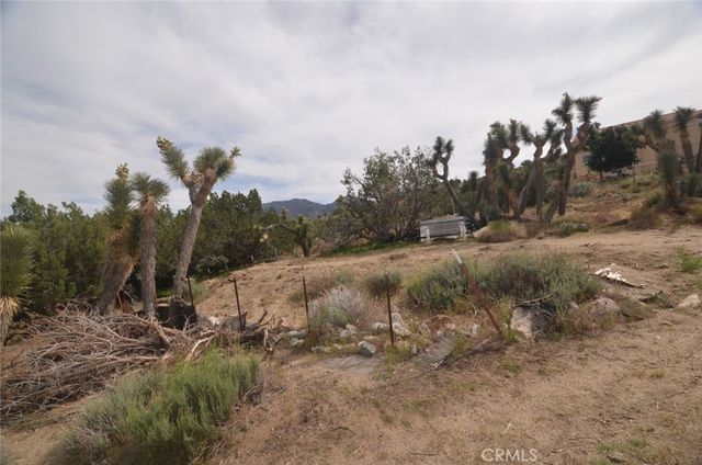 0 Longview x Old Homestead, Juniper Hills, CA 93553
