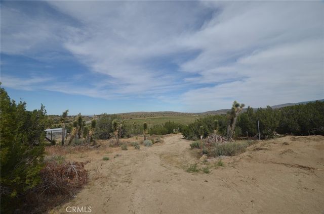 0 Longview x Old Homestead, Juniper Hills, CA 93553