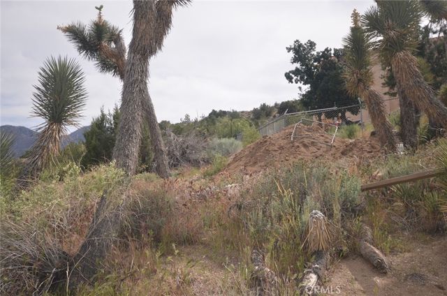 0 Longview x Old Homestead, Juniper Hills, CA 93553