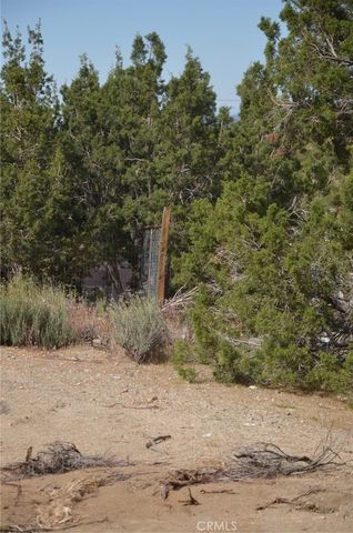 0 Longview x Old Homestead, Juniper Hills, CA 93553