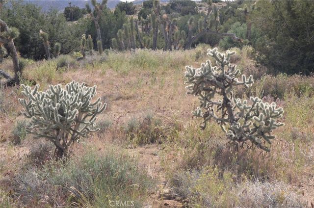 0 Longview x Old Homestead, Juniper Hills, CA 93553