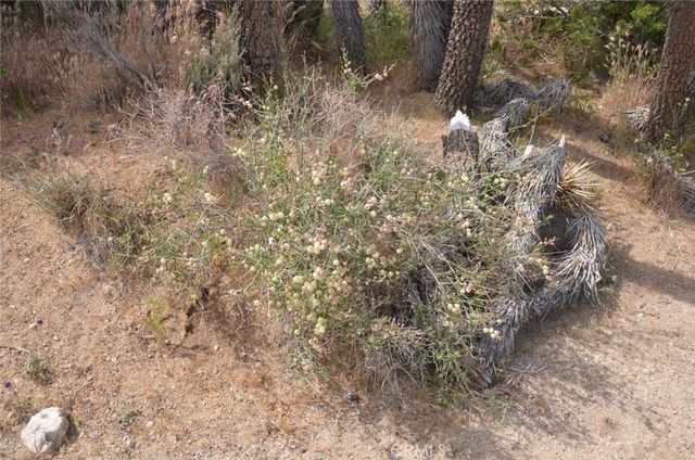 0 Longview x Old Homestead, Juniper Hills, CA 93553