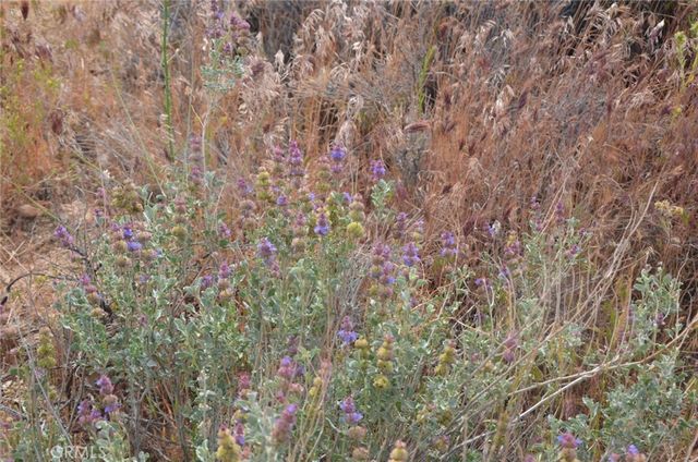 0 Longview x Old Homestead, Juniper Hills, CA 93553