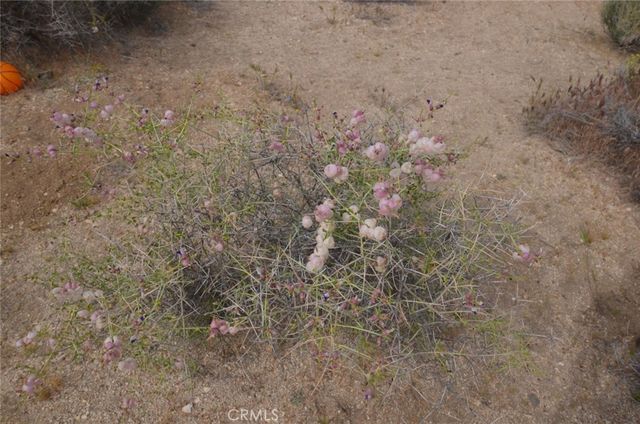 0 Longview x Old Homestead, Juniper Hills, CA 93553