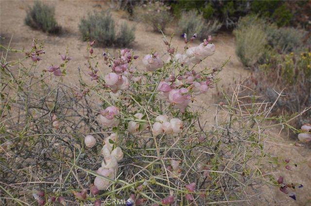 0 Longview x Old Homestead, Juniper Hills, CA 93553