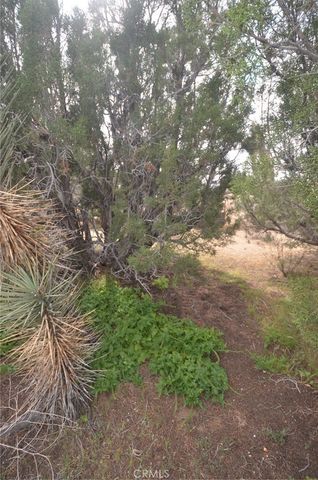 0 Longview x Old Homestead, Juniper Hills, CA 93553