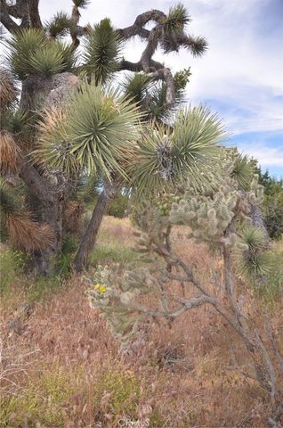0 Longview x Old Homestead, Juniper Hills, CA 93553