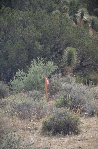 0 Longview x Old Homestead, Juniper Hills, CA 93553