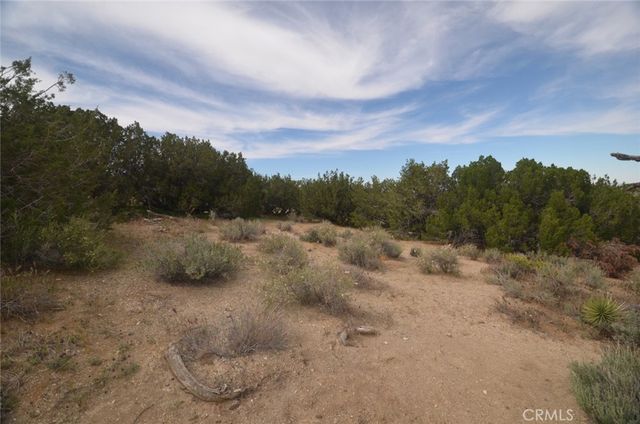0 Longview x Old Homestead, Juniper Hills, CA 93553
