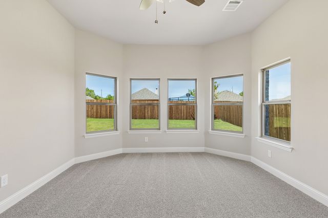 310 Mercer Drive, Josephine, TX 75173
