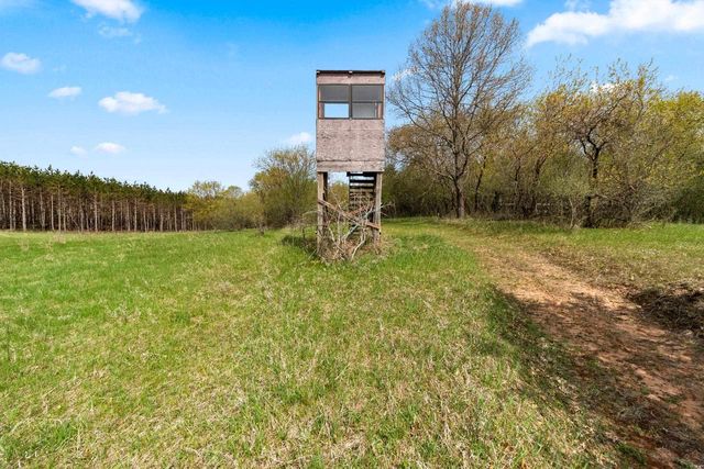 W7995 APACHE DRIVE, Wild Rose, WI 54984