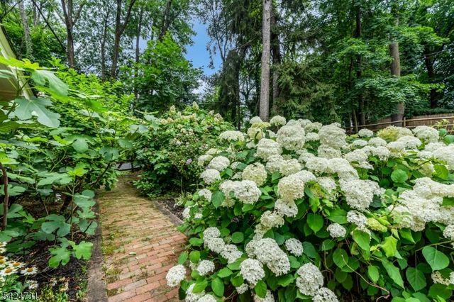 2041 Raritan Rd, Scotch Plains Twp., NJ 07076