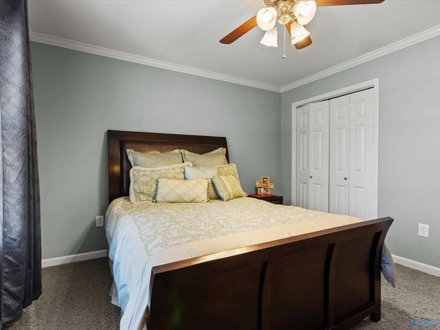 18280 Alabama Highway 20, Hillsboro, AL 35643