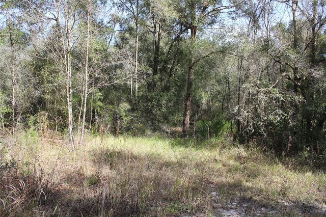 34273 BELT DRIVE, Dade City, FL 33523