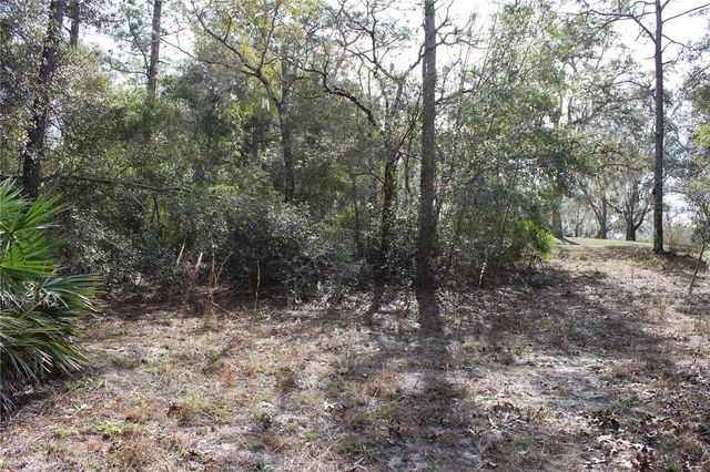 34273 BELT DRIVE, Dade City, FL 33523