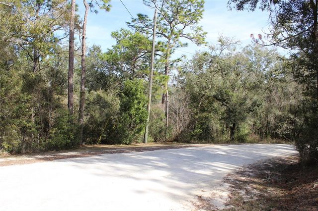 34273 BELT DRIVE, Dade City, FL 33523