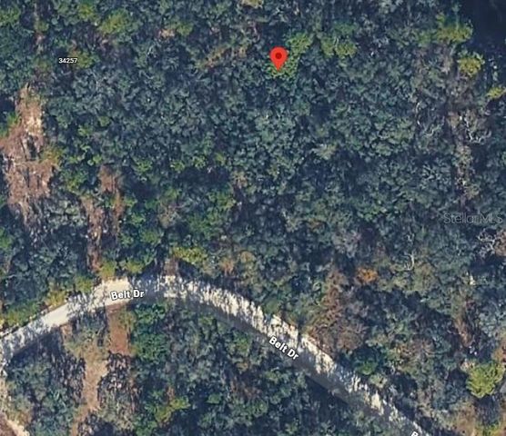 34273 BELT DRIVE, Dade City, FL 33523