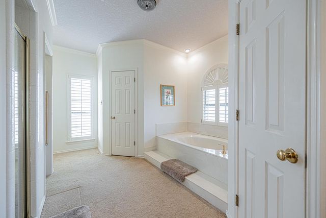 4497 Hackberry Court, Midland, TX 79707