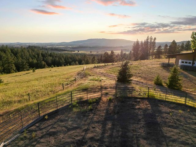 10718 S Mica Vista Ln, Mica, WA 99023 property photo