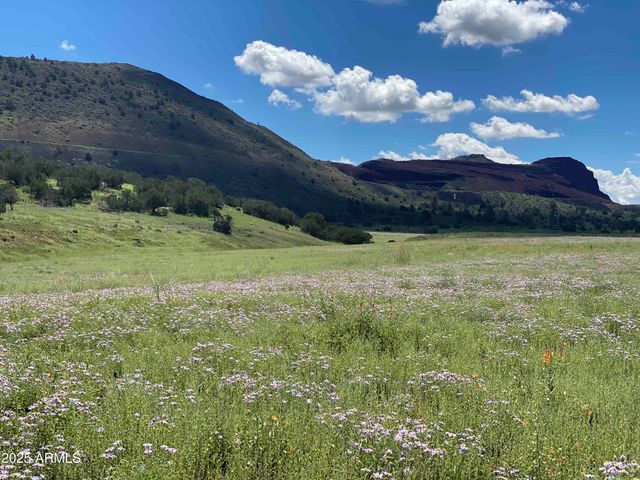 12957 MINE SHAFT Trail, Flagstaff, AZ 86004