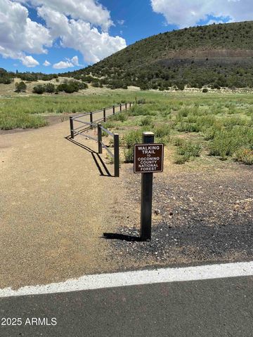 12957 MINE SHAFT Trail, Flagstaff, AZ 86004