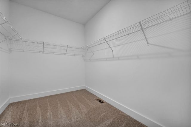 8896 Firethorne Drive, Columbia Station, OH 44028