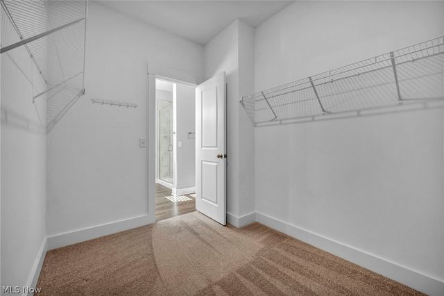 8896 Firethorne Drive, Columbia Station, OH 44028