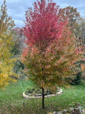 1430 25th Street, Houlton, WI 54082