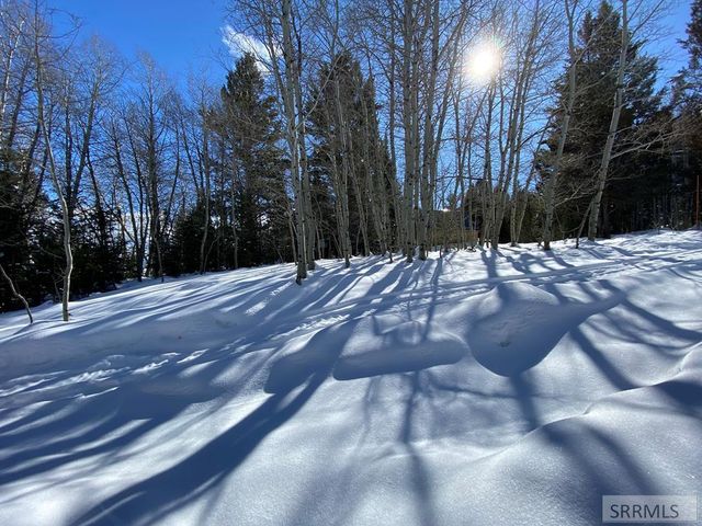 4790 Balsam Street, Island Park, ID 83429