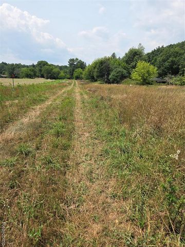 5800 parcel 2-C Mack, Howell, MI 48843