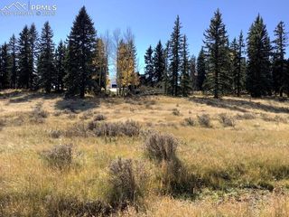 199 Joshua Road, Divide, CO 80814
