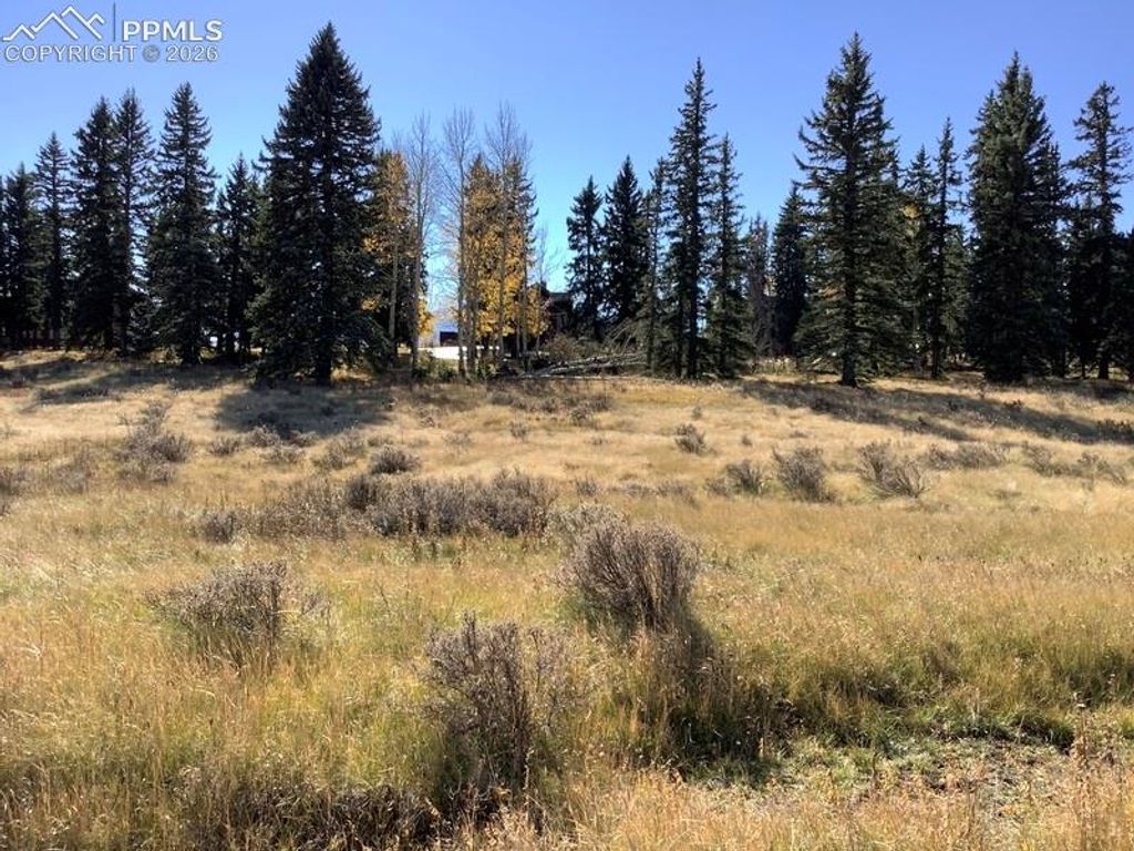 199 Joshua Road, Divide, CO 80814
